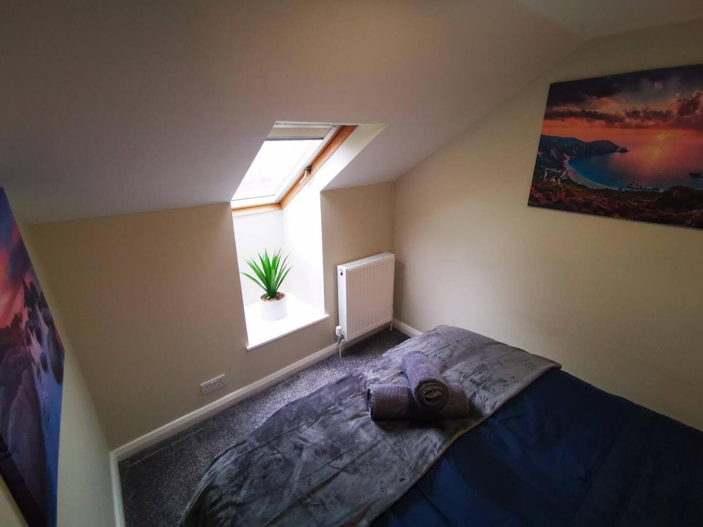 4Br Modern Botanic House Villa Belfast Eksteriør billede