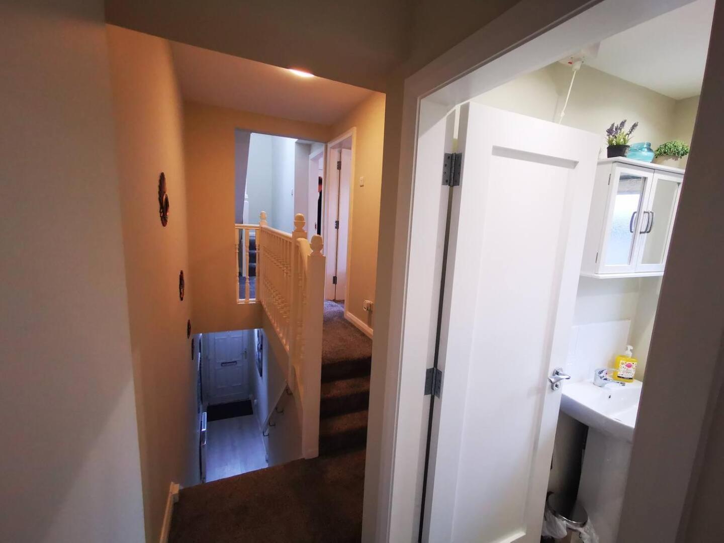 4Br Modern Botanic House Villa Belfast Eksteriør billede