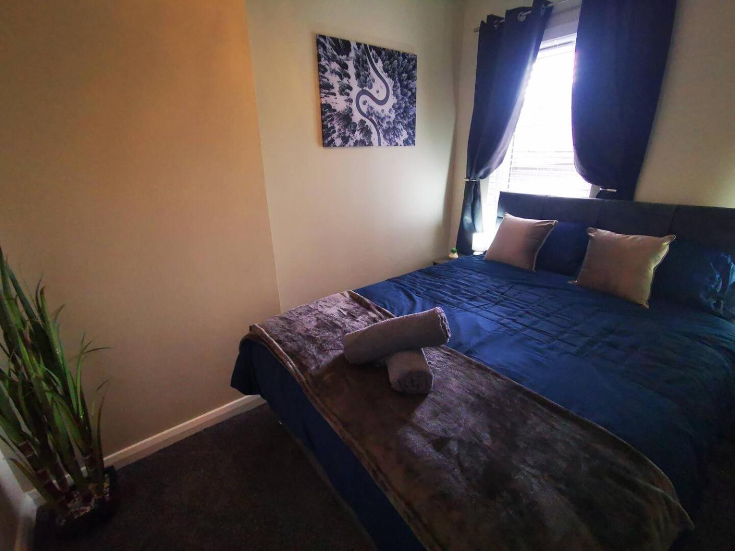 4Br Modern Botanic House Villa Belfast Eksteriør billede