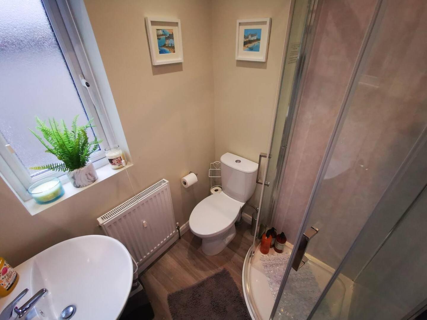 4Br Modern Botanic House Villa Belfast Eksteriør billede